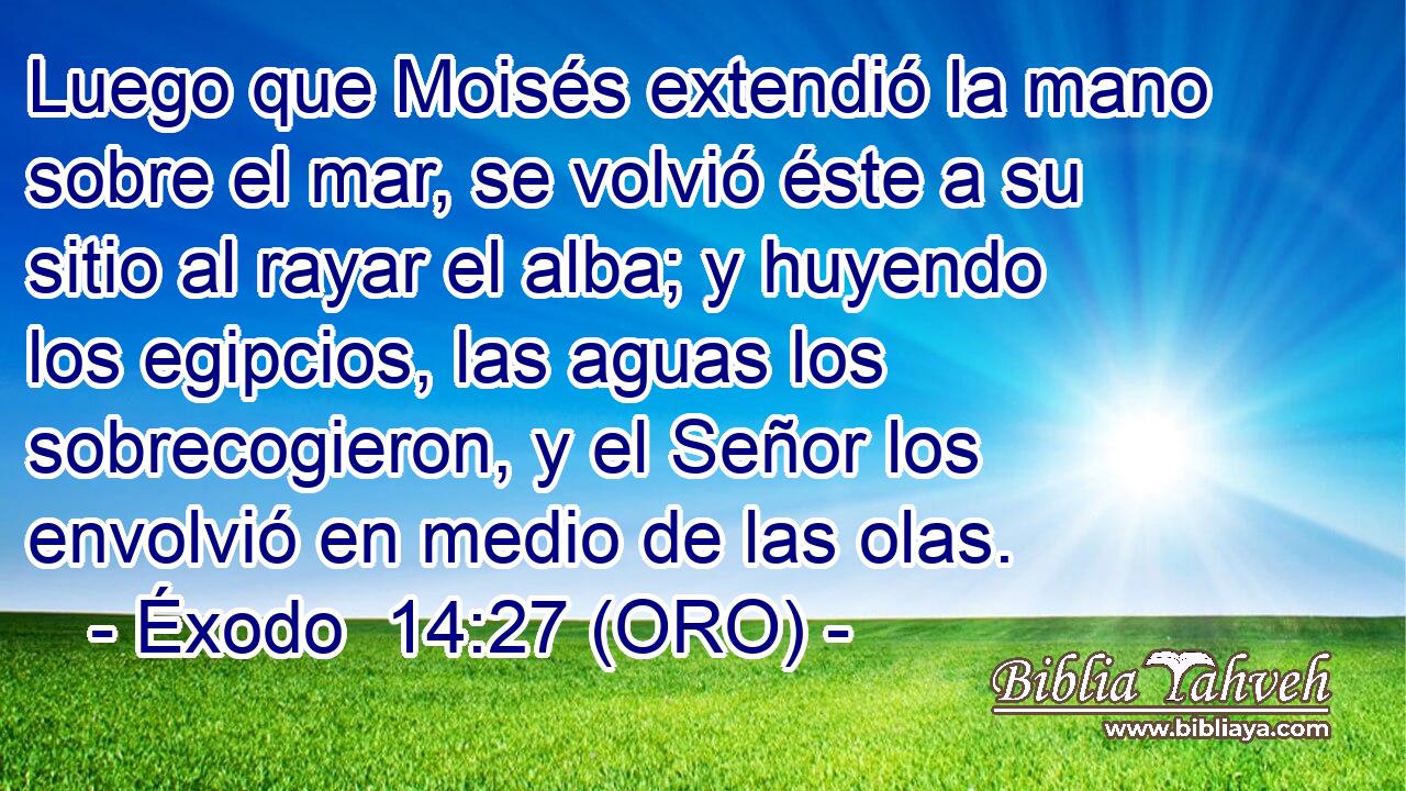  Luego que Moisés extendió la mano sobre el mar, se volvió éste a su sitio al rayar el alba; y huyendo los egipcios, las aguas los sobrecogieron, y el Señor los envolvió en medio de las olas. 