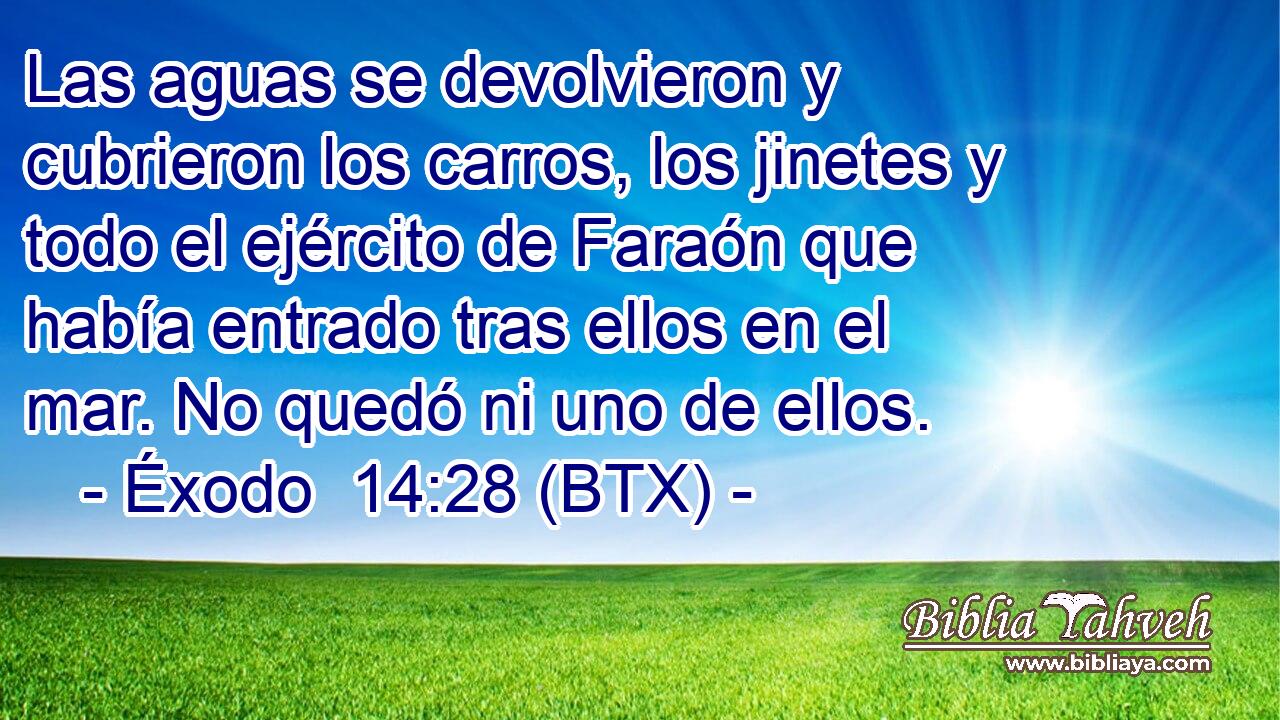 Las aguas se devolvieron y cubrieron los carros, los jinetes y todo el ejército de Faraón que había entrado tras ellos en el mar. No quedó ni uno de ellos.