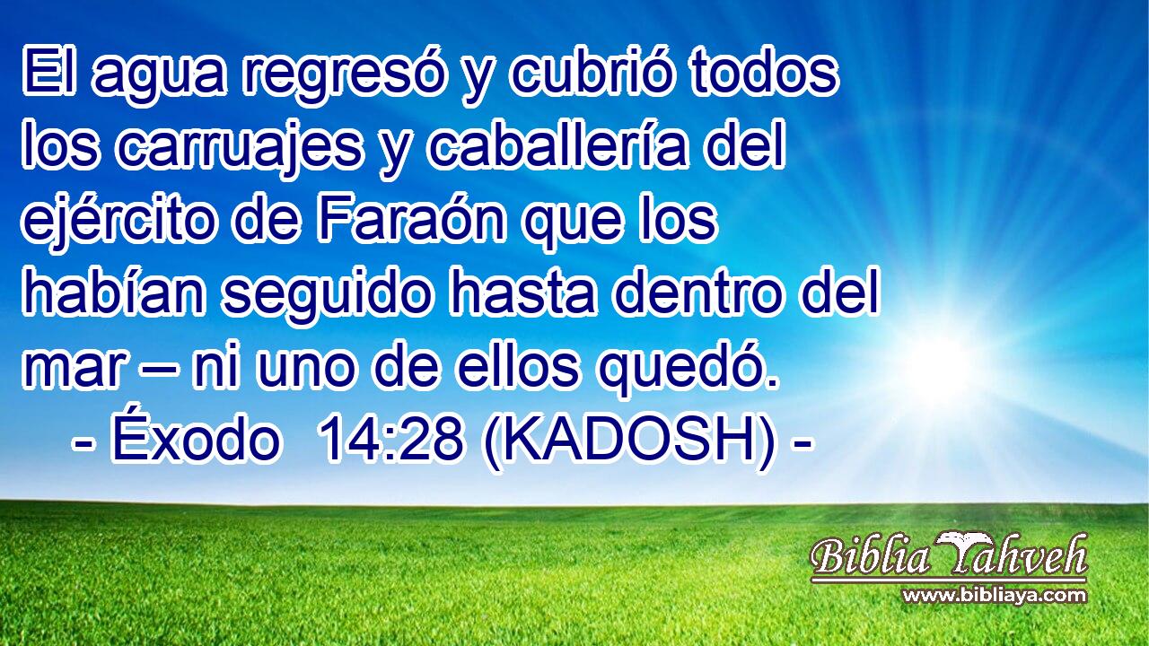  El agua regresó y cubrió todos los carruajes y caballería del ejército de Faraón que los habían seguido hasta dentro del mar – ni uno de ellos quedó. 