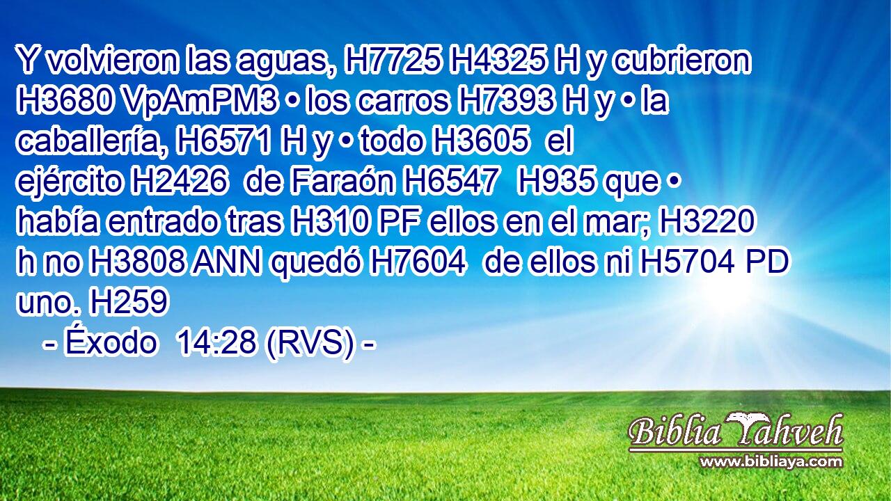 Y volvieron las aguas, H7725 H4325 H y cubrieron H3680 VpAmPM3 • los carros H7393 H y • la caballería, H6571 H y • todo H3605  el ejército H2426  de Faraón H6547  H935 que • había entrado tras H310 PF ellos en el mar; H3220 h no H3808 ANN quedó H7604  de ellos ni H5704 PD uno. H259  