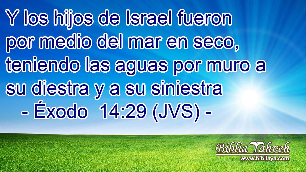 Y los hijos de Israel fueron por medio del mar en seco, teniendo las aguas por muro a su diestra y a su siniestra