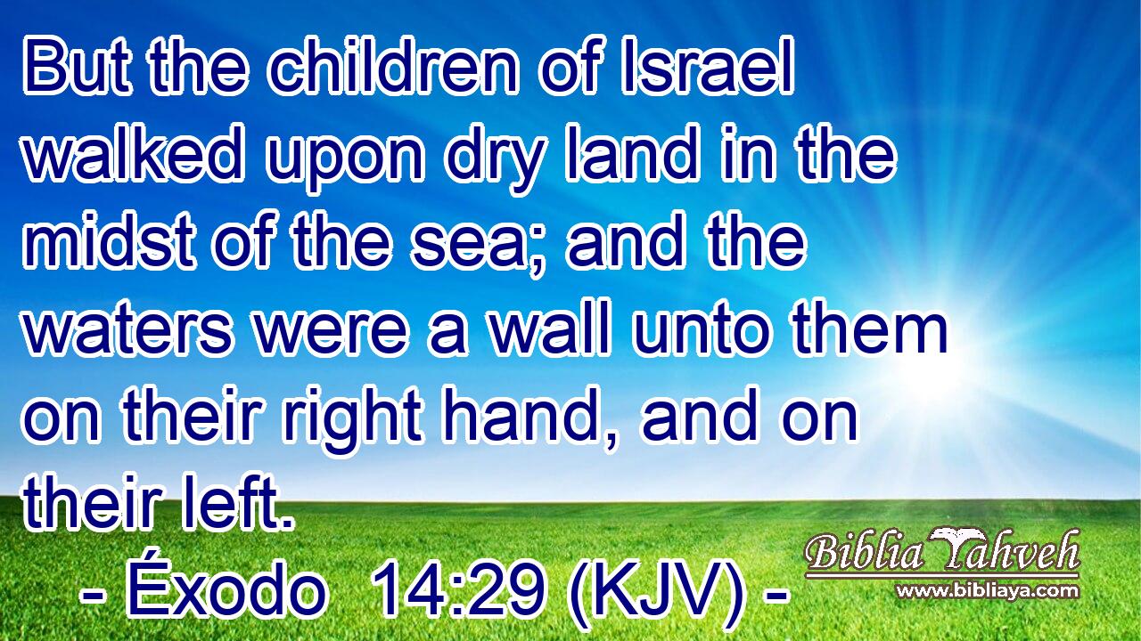 But the children of Israel walked upon dry land in the midst of the sea; and the waters were a wall unto them on their right hand, and on their left.