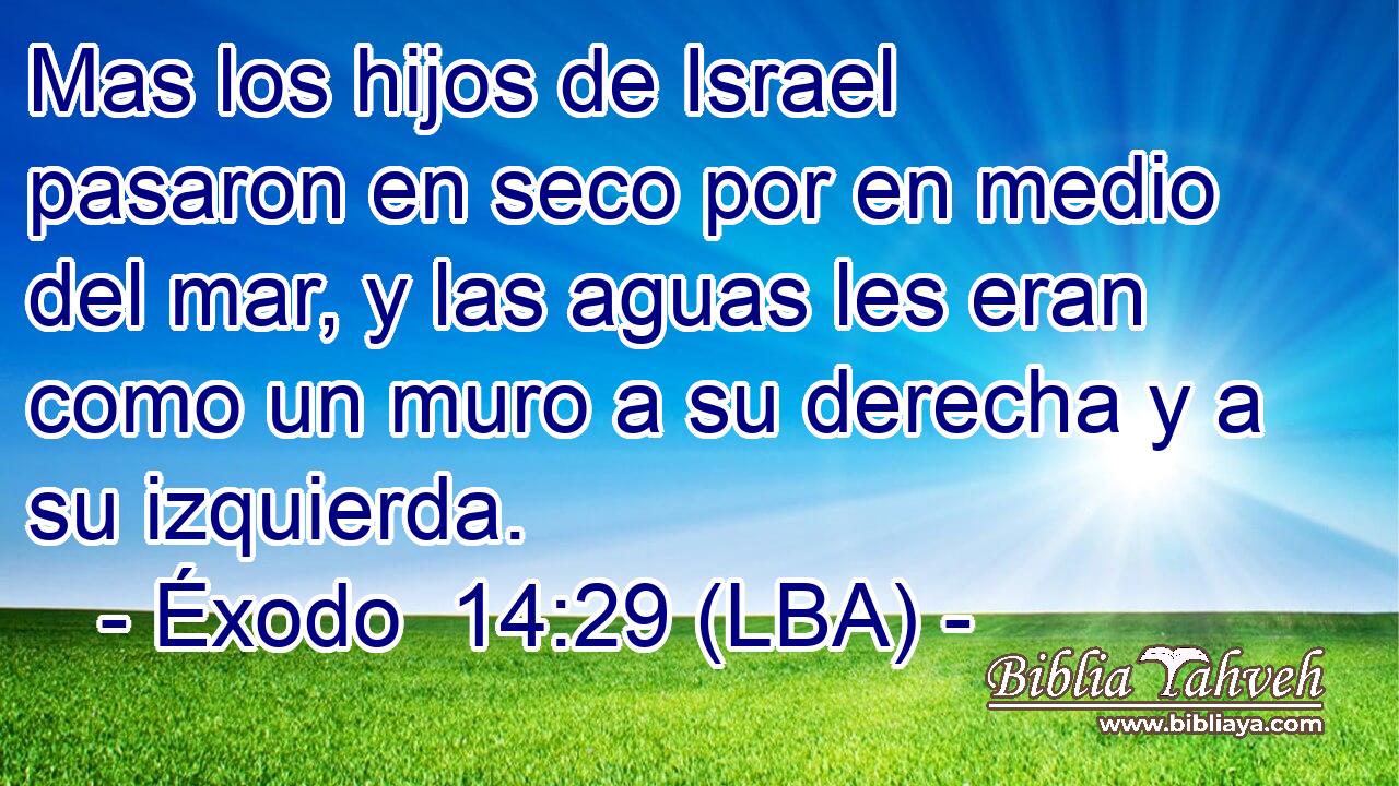 Mas los hijos de Israel pasaron en seco por en medio del mar, y las aguas les eran como un muro a su derecha y a su izquierda.