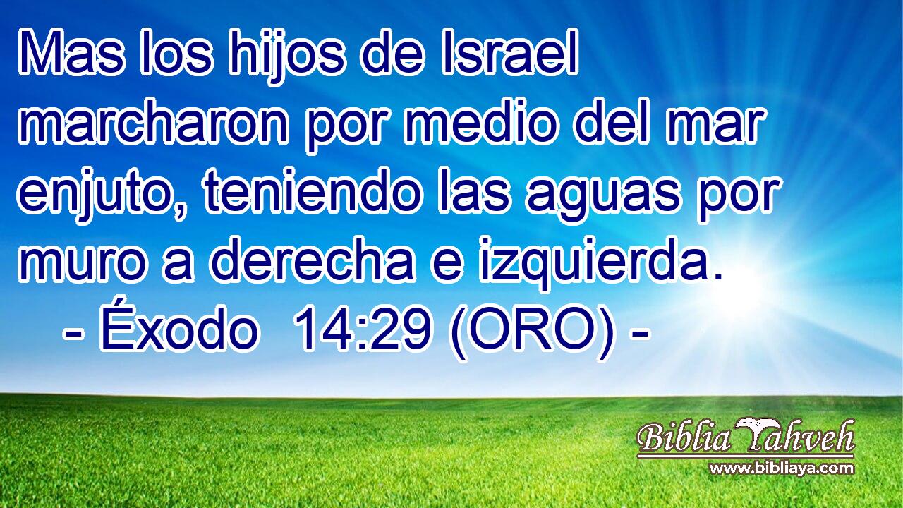  Mas los hijos de Israel marcharon por medio del mar enjuto, teniendo las aguas por muro a derecha e izquierda. 
