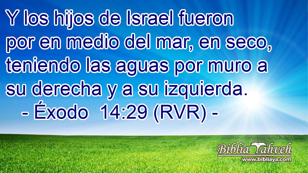 Y los hijos de Israel fueron por en medio del mar, en seco, teniendo las aguas por muro a su derecha y a su izquierda.