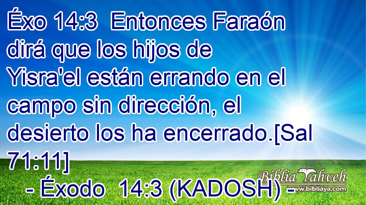  Entonces Faraón dirá que los hijos de Yisra'el están errando en el campo sin dirección, el desierto los ha encerrado.[Sal 71:11] 