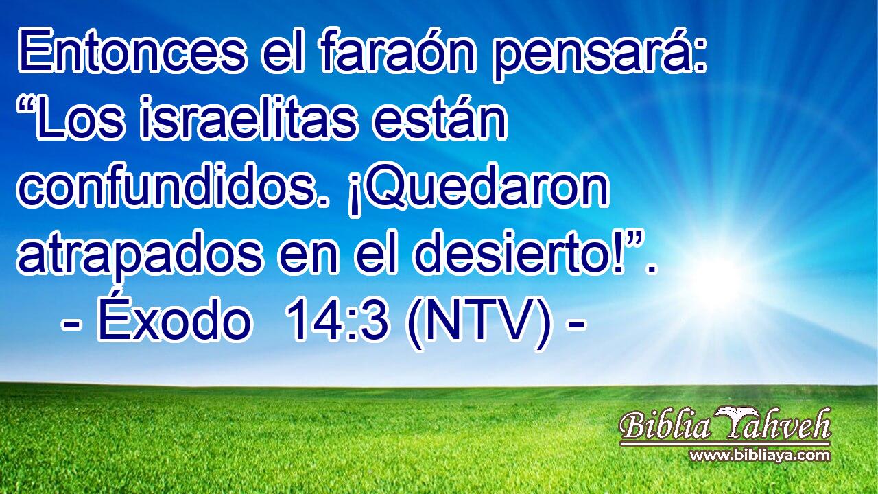 Entonces el faraón pensará: “Los israelitas están confundidos. ¡Quedaron atrapados en el desierto!”.