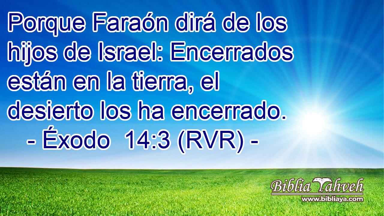 Porque Faraón dirá de los hijos de Israel: Encerrados están en la tierra, el desierto los ha encerrado.