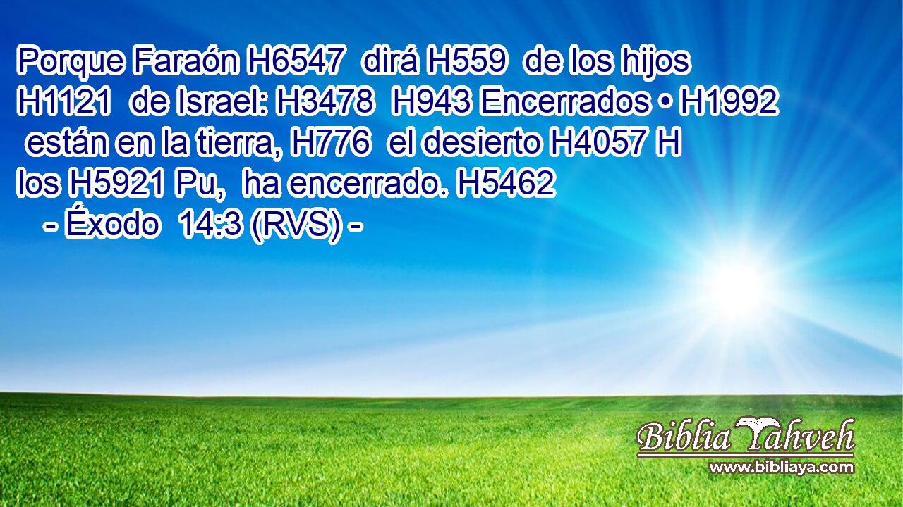 Porque Faraón H6547  dirá H559  de los hijos H1121  de Israel: H3478  H943 Encerrados • H1992  están en la tierra, H776  el desierto H4057 H los H5921 Pu,  ha encerrado. H5462  