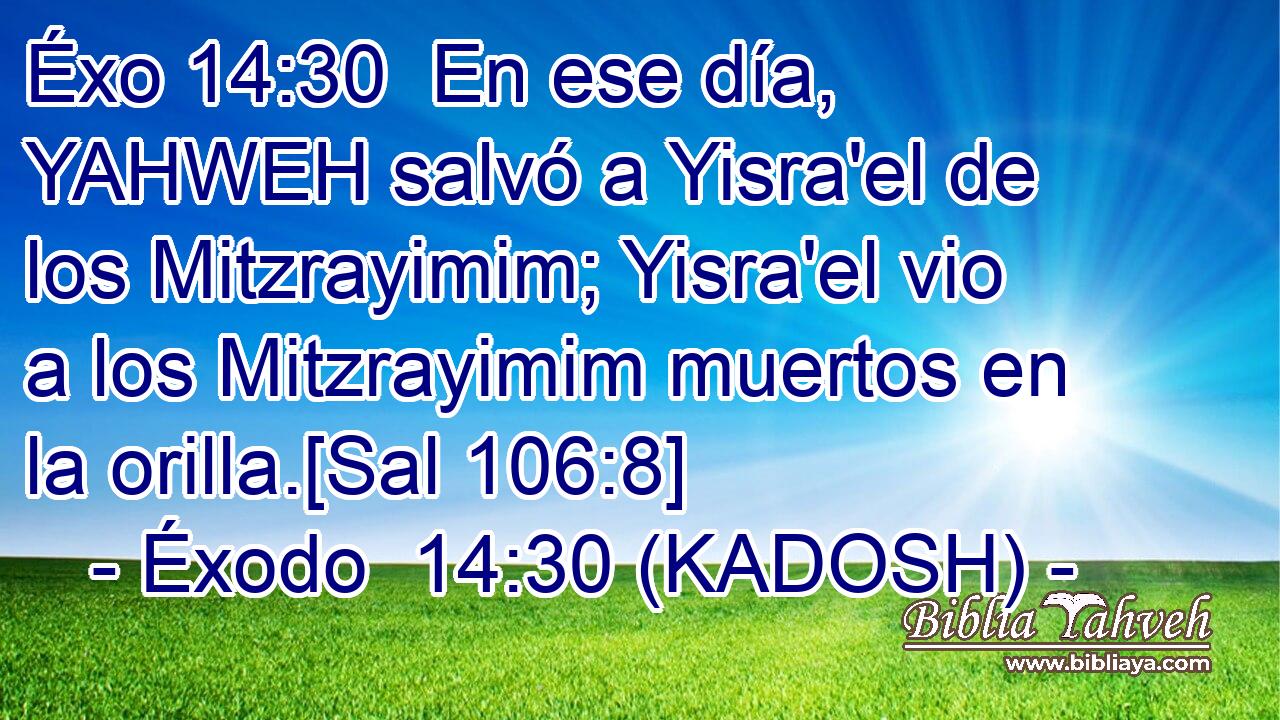  En ese día, YAHWEH salvó a Yisra'el de los Mitzrayimim; Yisra'el vio a los Mitzrayimim muertos en la orilla.[Sal 106:8] 