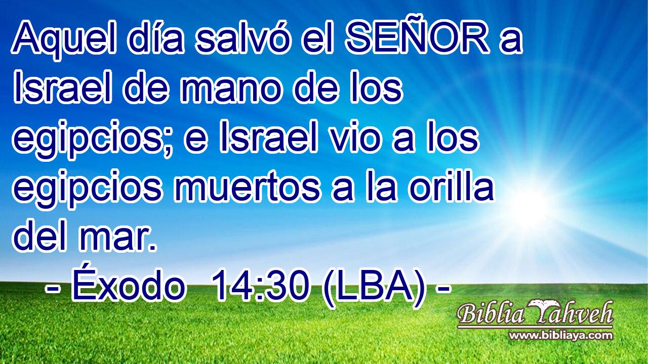 Aquel día salvó el SEÑOR a Israel de mano de los egipcios; e Israel vio a los egipcios muertos a la orilla del mar.