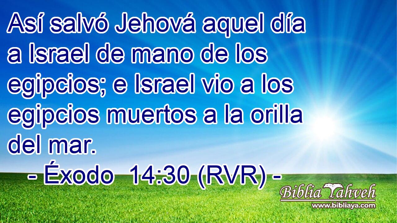 Así salvó Jehová aquel día a Israel de mano de los egipcios; e Israel vio a los egipcios muertos a la orilla del mar.