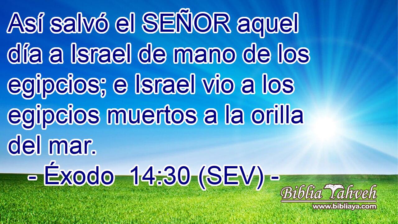 Así salvó el SEÑOR aquel día a Israel de mano de los egipcios; e Israel vio a los egipcios muertos a la orilla del mar.