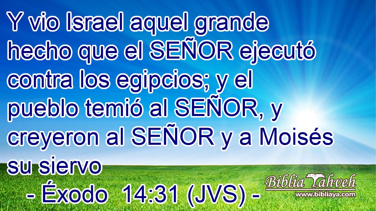 Y vio Israel aquel grande hecho que el SEÑOR ejecutó contra los egipcios; y el pueblo temió al SEÑOR, y creyeron al SEÑOR y a Moisés su siervo