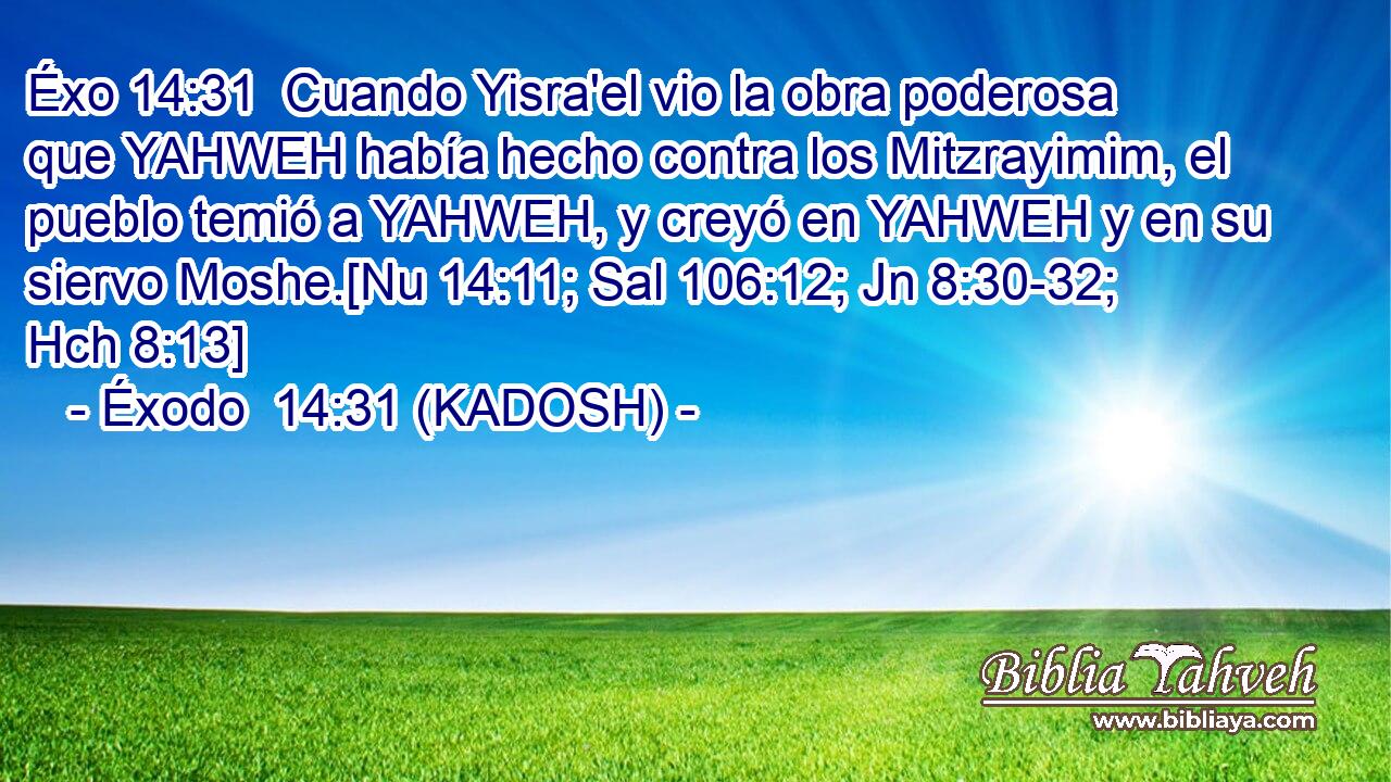  Cuando Yisra'el vio la obra poderosa que YAHWEH había hecho contra los Mitzrayimim, el pueblo temió a YAHWEH, y creyó en YAHWEH y en su siervo Moshe.[Nu 14:11; Sal 106:12; Jn 8:30-32; Hch 8:13] 