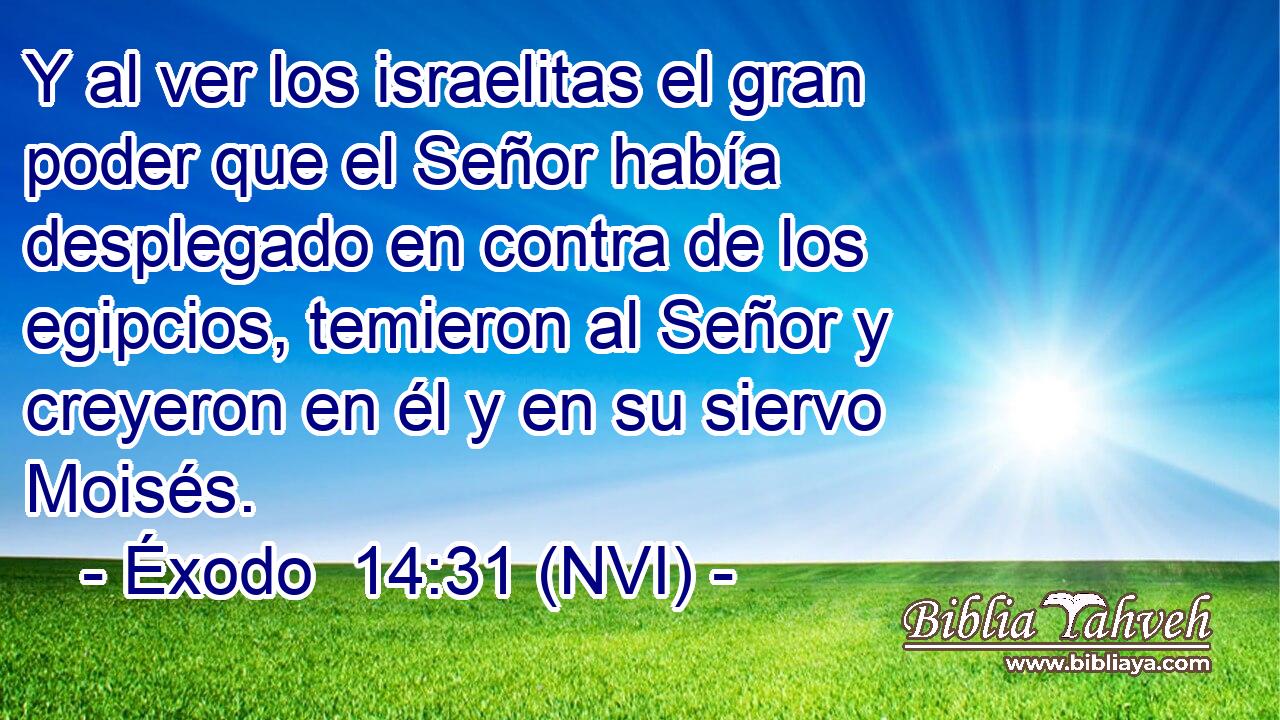  Y al ver los israelitas el gran poder que el Señor había desplegado en contra de los egipcios, temieron al Señor y creyeron en él y en su siervo Moisés. 