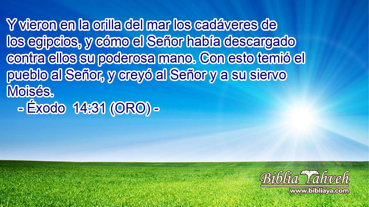  Y vieron en la orilla del mar los cadáveres de los egipcios, y cómo el Señor había descargado contra ellos su poderosa mano. Con esto temió el pueblo al Señor, y creyó al Señor y a su siervo Moisés. 
