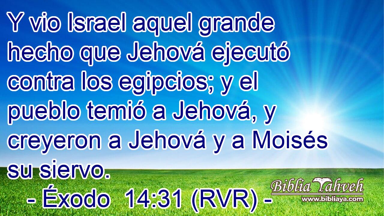Y vio Israel aquel grande hecho que Jehová ejecutó contra los egipcios; y el pueblo temió a Jehová, y creyeron a Jehová y a Moisés su siervo.
