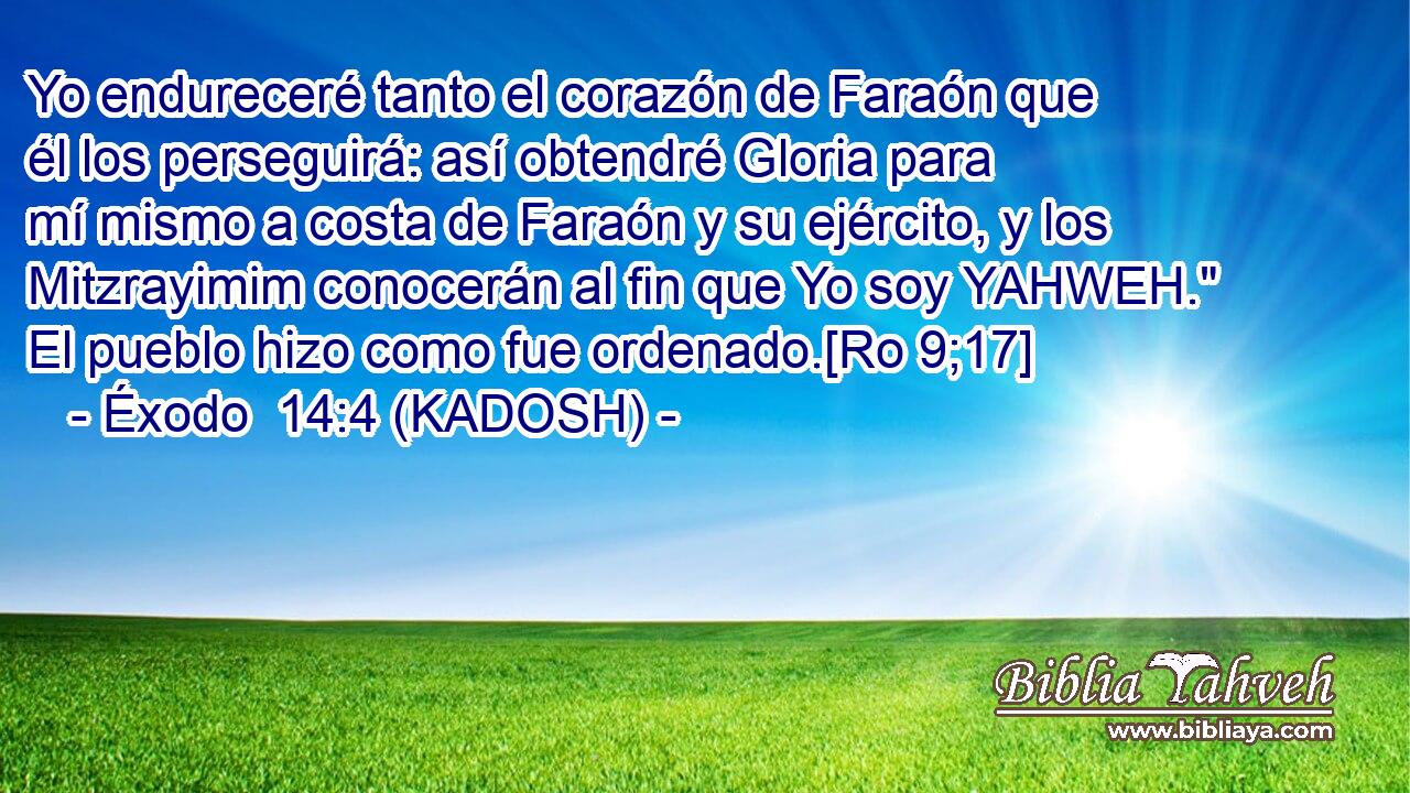  Yo endureceré tanto el corazón de Faraón que él los perseguirá: así obtendré Gloria para mí mismo a costa de Faraón y su ejército, y los Mitzrayimim conocerán al fin que Yo soy YAHWEH.