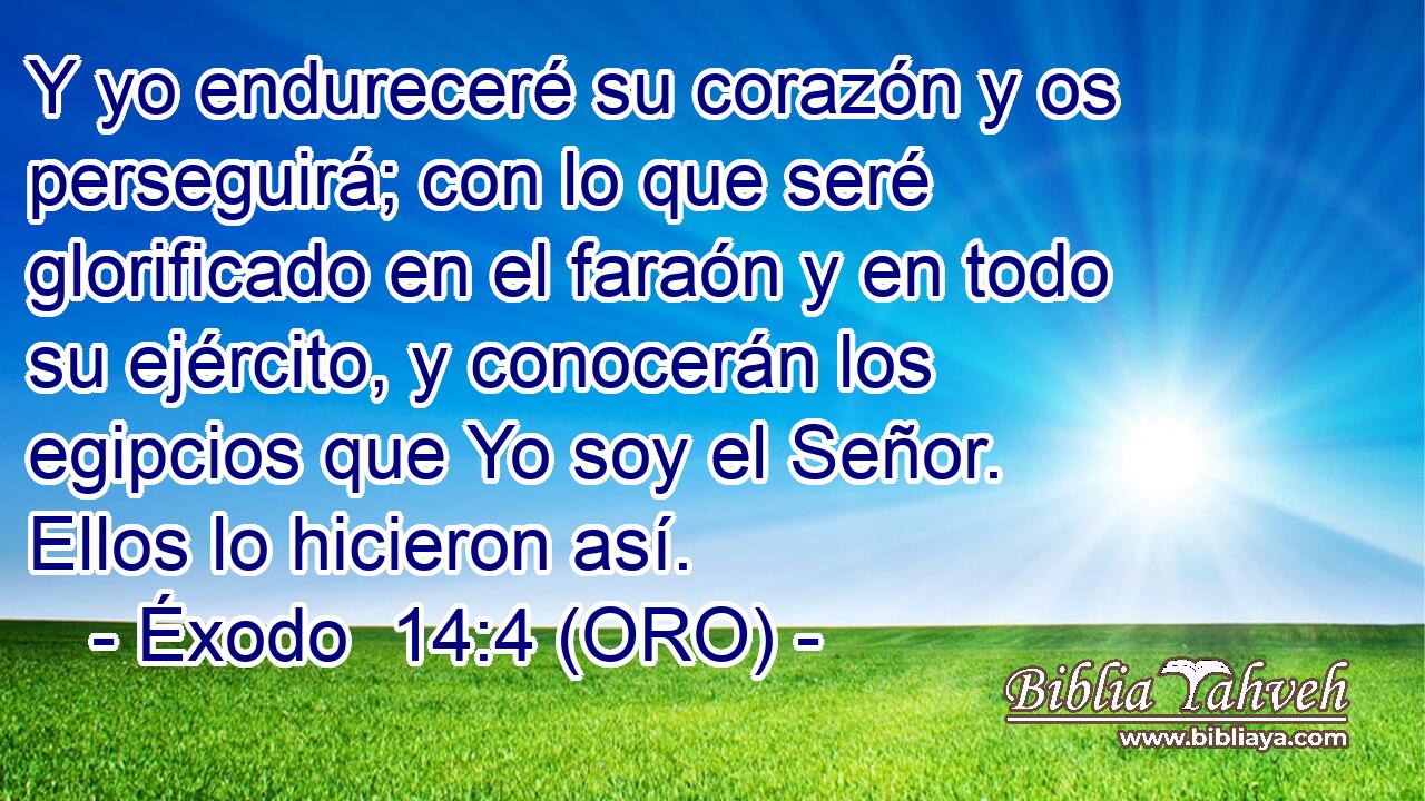  Y yo endureceré su corazón y os perseguirá; con lo que seré glorificado en el faraón y en todo su ejército, y conocerán los egipcios que Yo soy el Señor. Ellos lo hicieron así. 