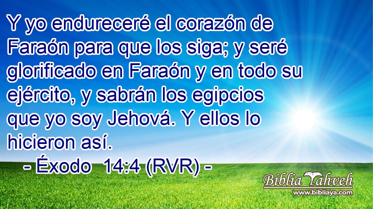 Y yo endureceré el corazón de Faraón para que los siga; y seré glorificado en Faraón y en todo su ejército, y sabrán los egipcios que yo soy Jehová. Y ellos lo hicieron así.