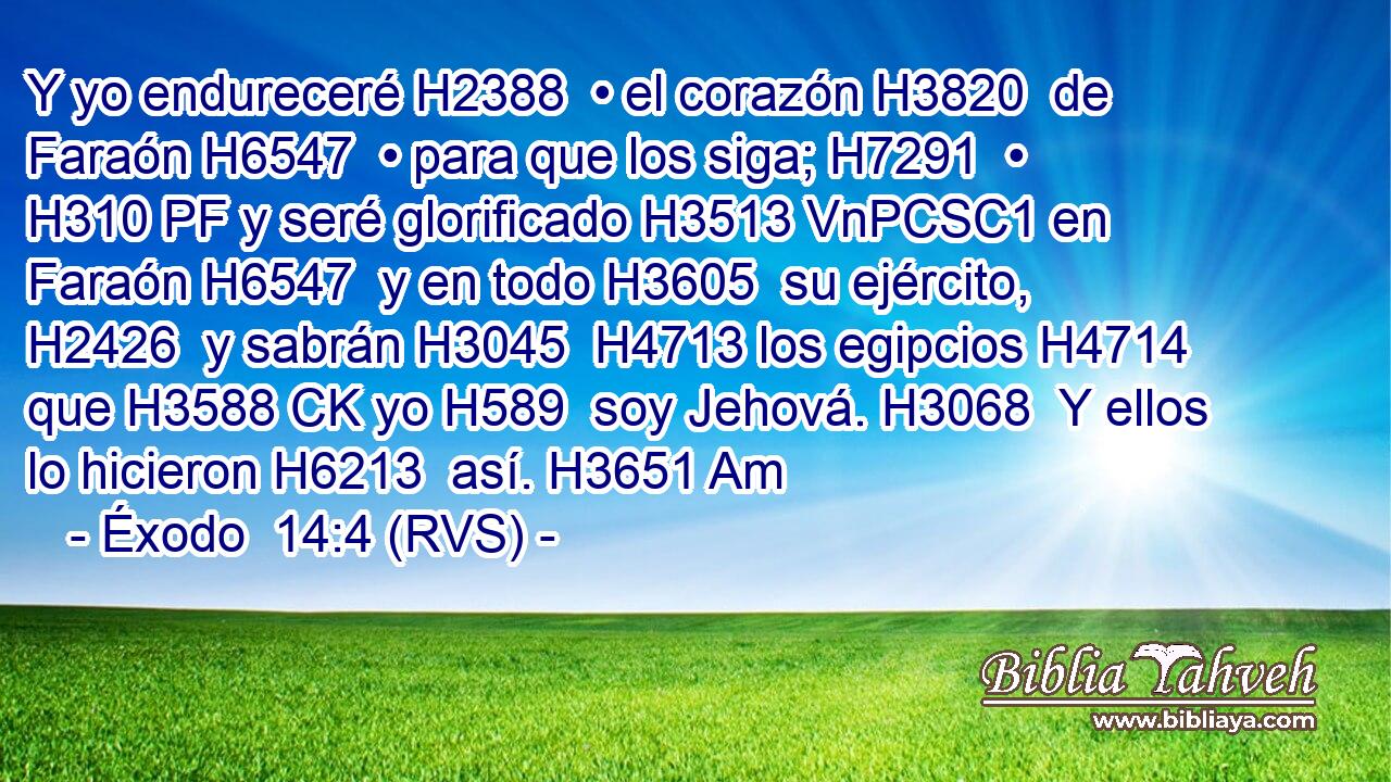 Y yo endureceré H2388  • el corazón H3820  de Faraón H6547  • para que los siga; H7291  • H310 PF y seré glorificado H3513 VnPCSC1 en Faraón H6547  y en todo H3605  su ejército, H2426  y sabrán H3045  H4713 los egipcios H4714  que H3588 CK yo H589  soy Jehová. H3068  Y ellos lo hicieron H6213  así. H3651 Am 