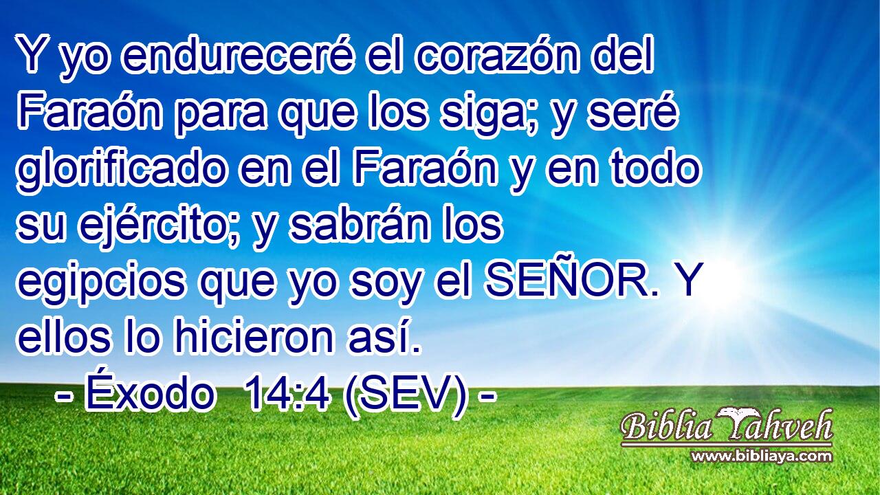 Y yo endureceré el corazón del Faraón para que los siga; y seré glorificado en el Faraón y en todo su ejército; y sabrán los egipcios que yo soy el SEÑOR. Y ellos lo hicieron así.
