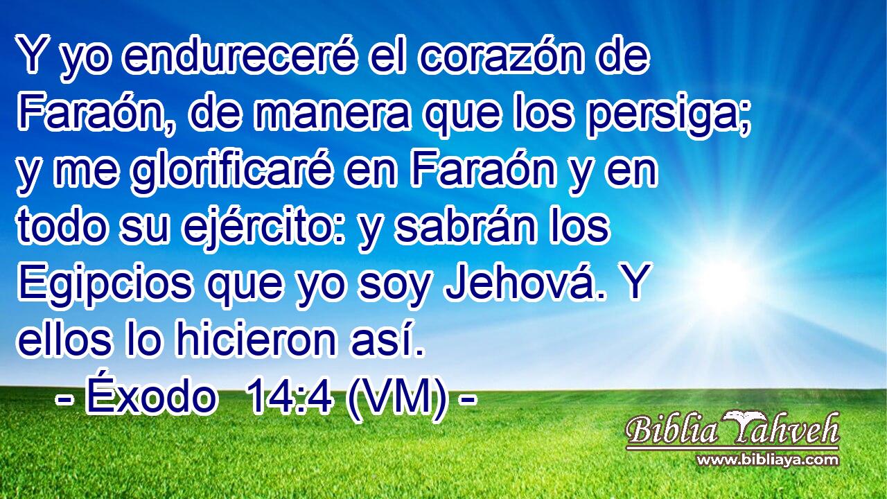  Y yo endureceré el corazón de Faraón, de manera que los persiga; y me glorificaré en Faraón y en todo su ejército: y sabrán los Egipcios que yo soy Jehová. Y ellos lo hicieron así. 