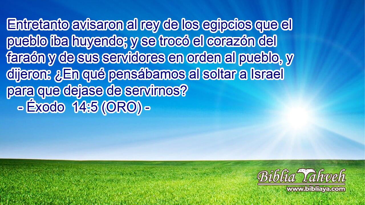  Entretanto avisaron al rey de los egipcios que el pueblo iba huyendo; y se trocó el corazón del faraón y de sus servidores en orden al pueblo, y dijeron: ¿En qué pensábamos al soltar a Israel para que dejase de servirnos? 