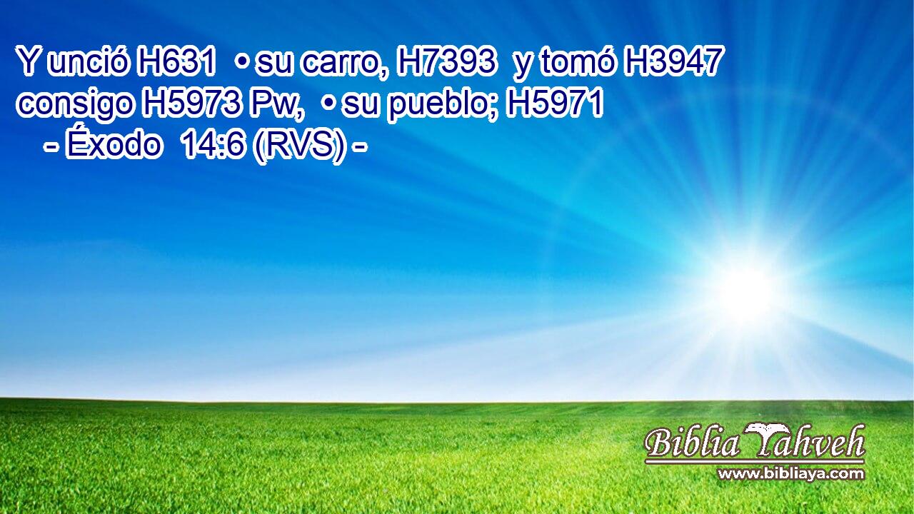 Y unció H631  • su carro, H7393  y tomó H3947  consigo H5973 Pw,  • su pueblo; H5971  
