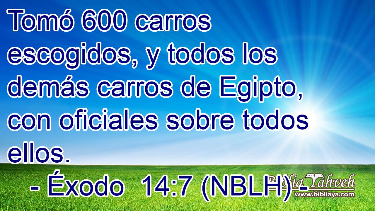  Tomó 600 carros escogidos, y todos los demás carros de Egipto, con oficiales sobre todos ellos. 