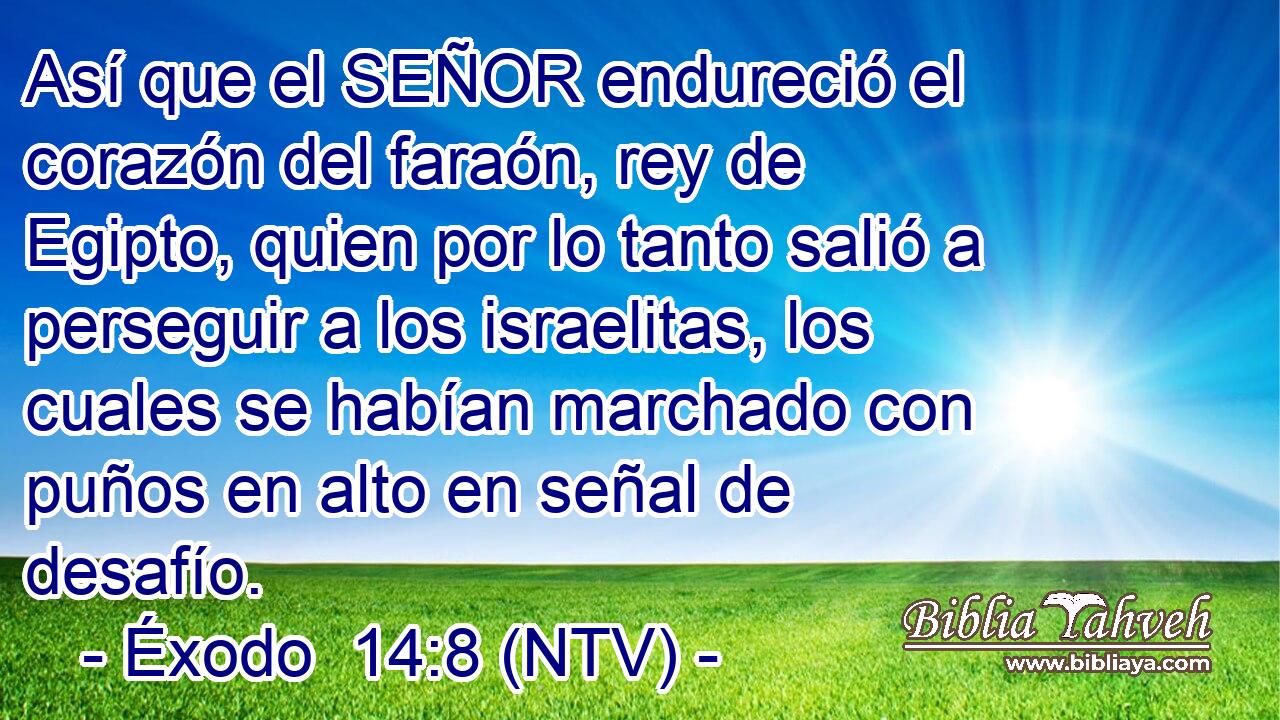 Así que el SEÑOR endureció el corazón del faraón, rey de Egipto, quien por lo tanto salió a perseguir a los israelitas, los cuales se habían marchado con puños en alto en señal de desafío.