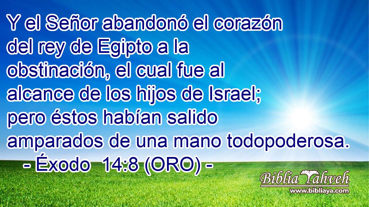  Y el Señor abandonó el corazón del rey de Egipto a la obstinación, el cual fue al alcance de los hijos de Israel; pero éstos habían salido amparados de una mano todopoderosa. 