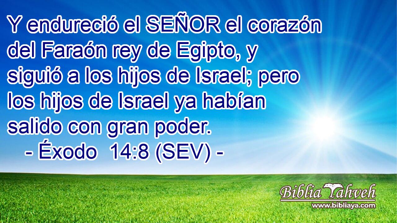 Y endureció el SEÑOR el corazón del Faraón rey de Egipto, y siguió a los hijos de Israel; pero los hijos de Israel ya habían salido con gran poder.