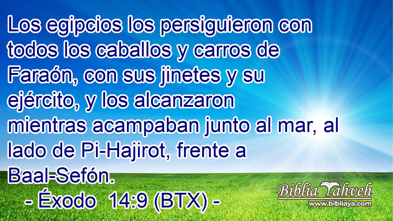 Los egipcios los persiguieron con todos los caballos y carros de Faraón, con sus jinetes y su ejército, y los alcanzaron mientras acampaban junto al mar, al lado de Pi-Hajirot, frente a Baal-Sefón.