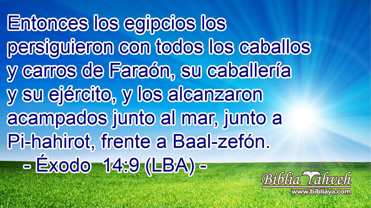 Entonces los egipcios los persiguieron con todos los caballos y carros de Faraón, su caballería y su ejército, y los alcanzaron acampados junto al mar, junto a Pi-hahirot, frente a Baal-zefón.