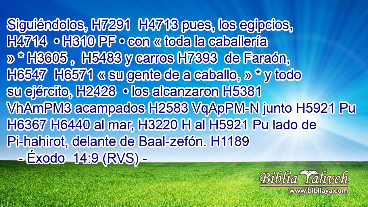 Siguiéndolos, H7291  H4713 pues, los egipcios, H4714  • H310 PF • con « toda la caballería » * H3605 ,  H5483 y carros H7393  de Faraón, H6547  H6571 « su gente de a caballo, » * y todo su ejército, H2428  • los alcanzaron H5381 VhAmPM3 acampados H2583 VqApPM-N junto H5921 Pu H6367 H6440 al mar, H3220 H al H5921 Pu lado de Pi-hahirot, delante de Baal-zefón. H1189  