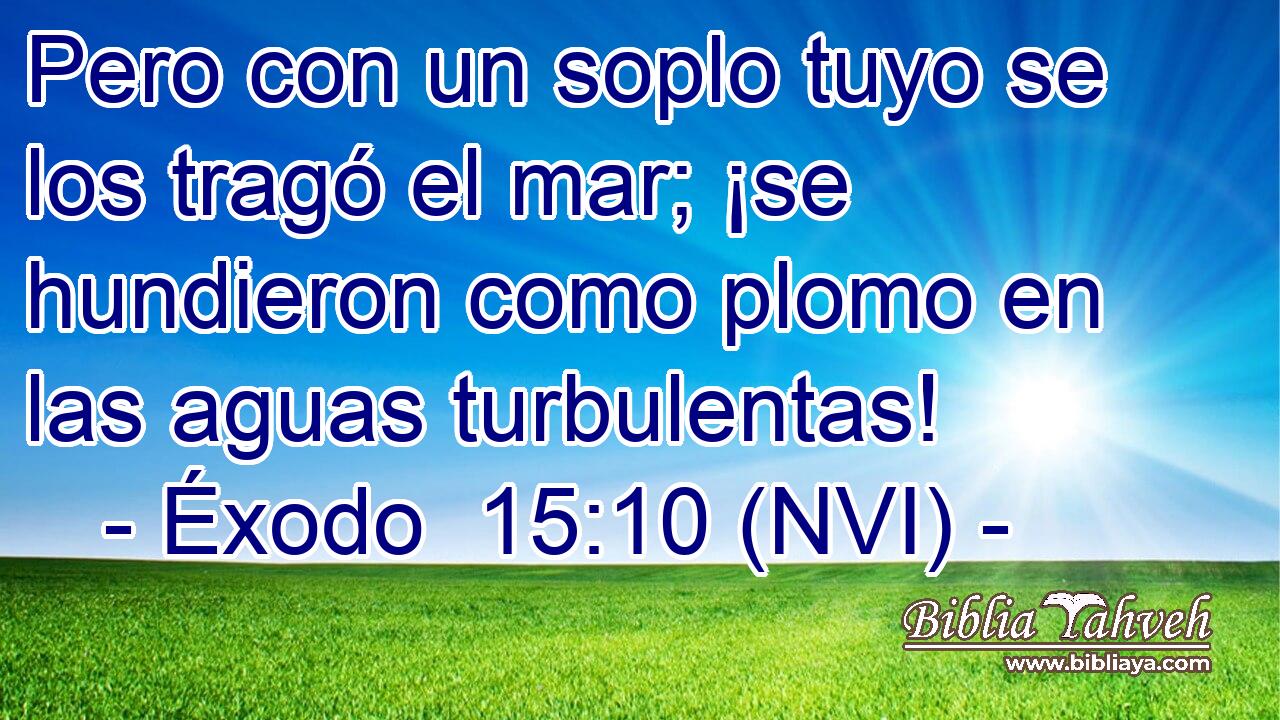  Pero con un soplo tuyo se los tragó el mar; ¡se hundieron como plomo en las aguas turbulentas! 