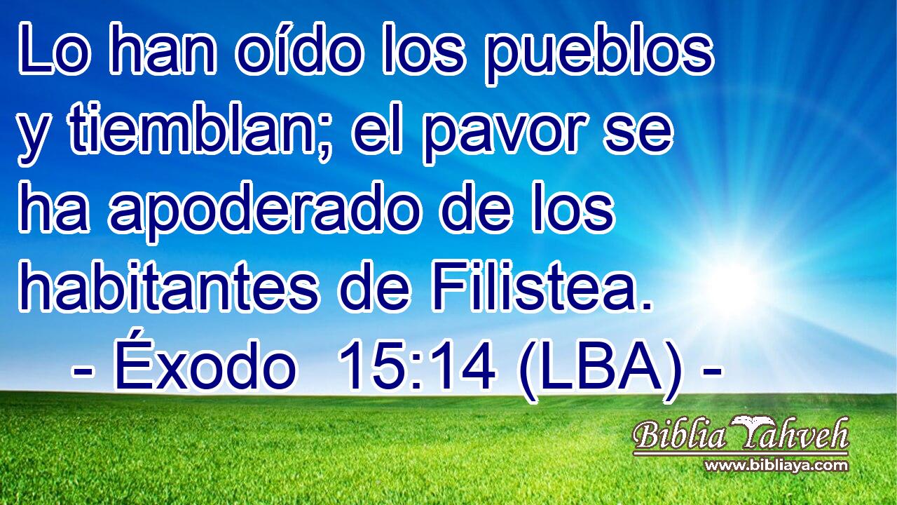 Lo han oído los pueblos y tiemblan; el pavor se ha apoderado de los habitantes de Filistea.