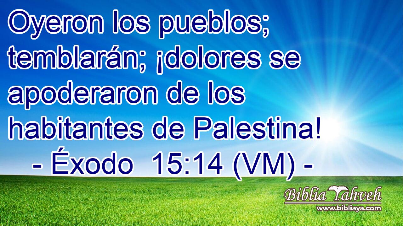  Oyeron los pueblos; temblarán; ¡dolores se apoderaron de los habitantes de Palestina! 