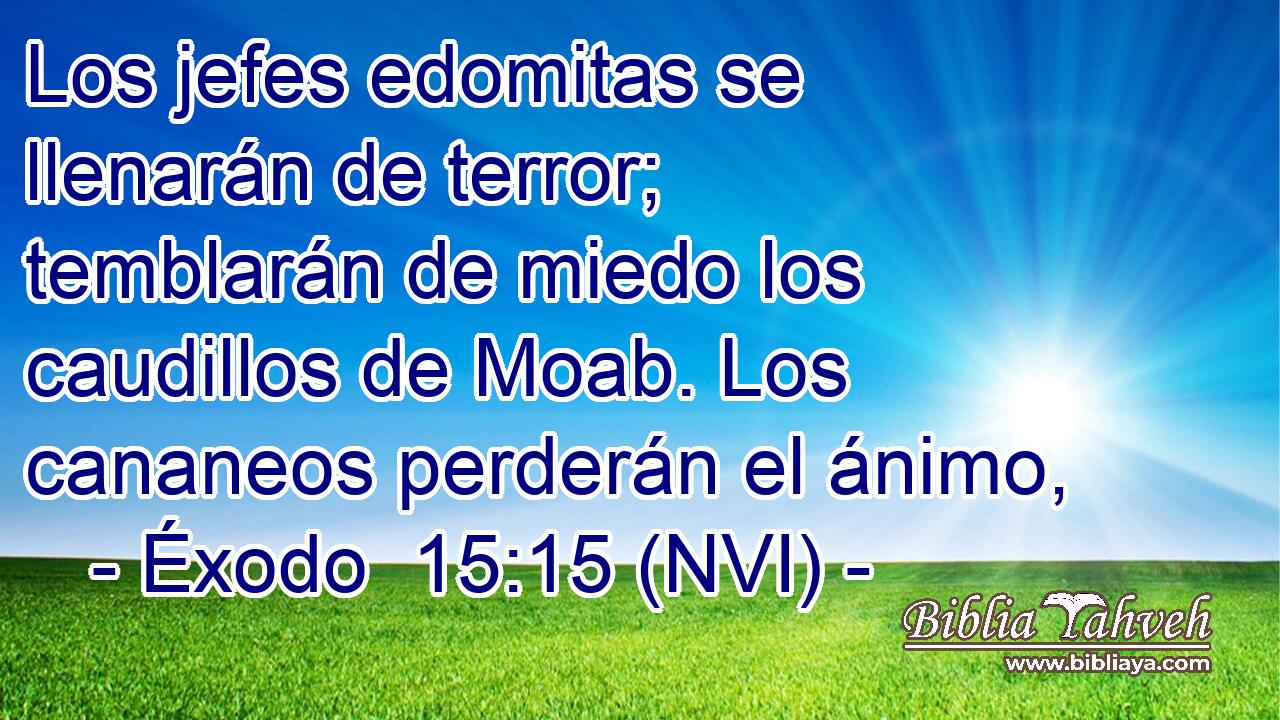  Los jefes edomitas se llenarán de terror; temblarán de miedo los caudillos de Moab. Los cananeos perderán el ánimo, 