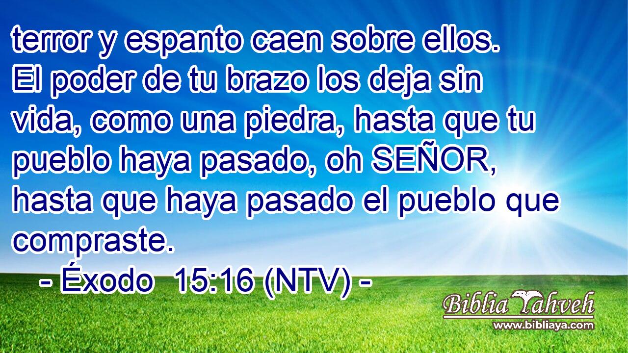terror y espanto caen sobre ellos. El poder de tu brazo los deja sin vida, como una piedra, hasta que tu pueblo haya pasado, oh SEÑOR, hasta que haya pasado el pueblo que compraste.