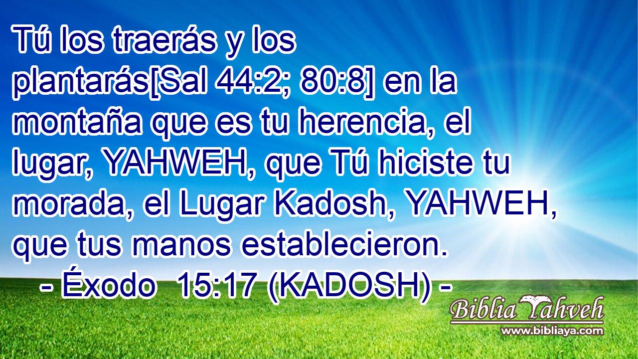  Tú los traerás y los plantarás[Sal 44:2; 80:8] en la montaña que es tu herencia, el lugar, YAHWEH, que Tú hiciste tu morada, el Lugar Kadosh, YAHWEH, que tus manos establecieron. 