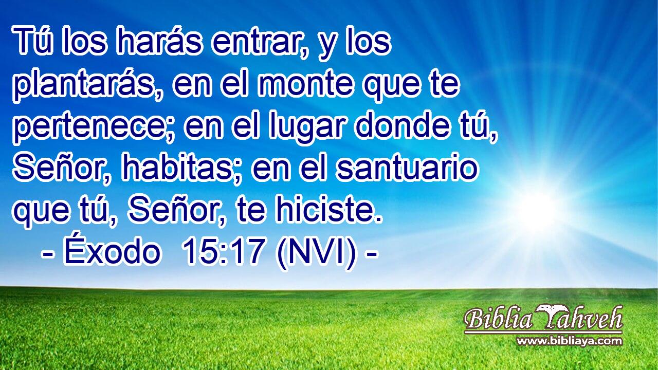  Tú los harás entrar, y los plantarás, en el monte que te pertenece; en el lugar donde tú, Señor, habitas; en el santuario que tú, Señor, te hiciste. 