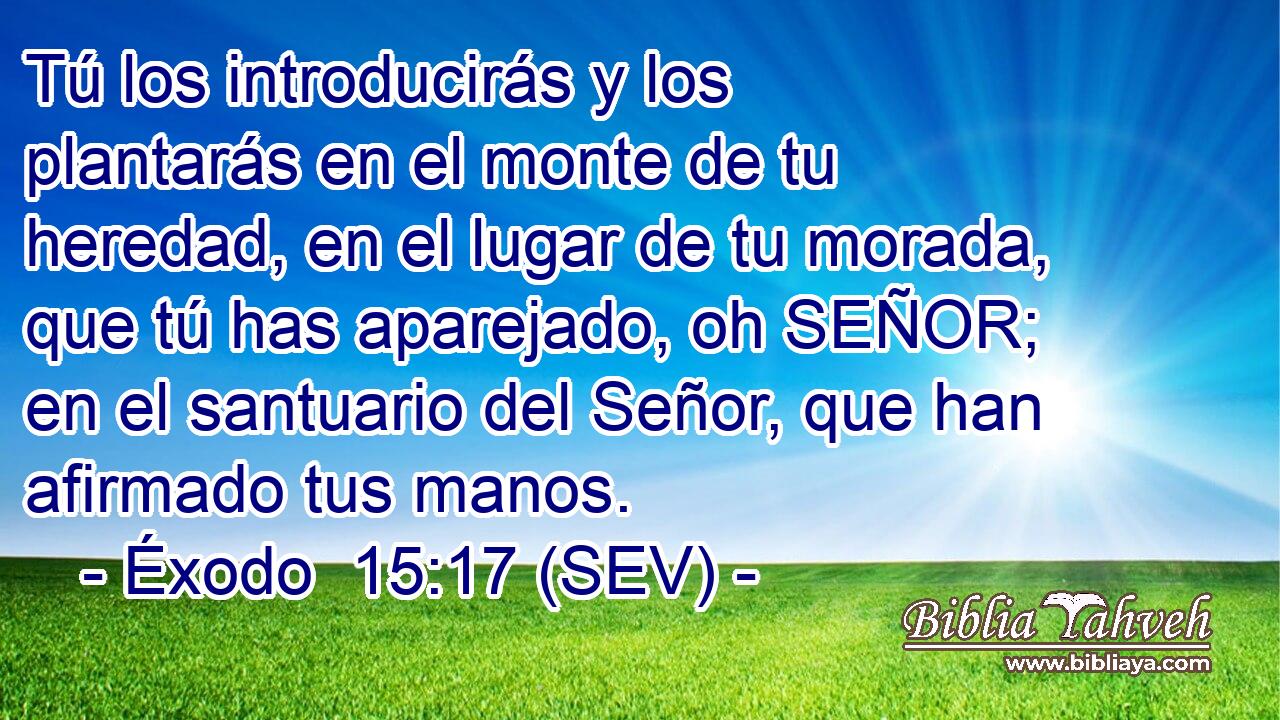 Tú los introducirás y los plantarás en el monte de tu heredad, en el lugar de tu morada, que tú has aparejado, oh SEÑOR; en el santuario del Señor, que han afirmado tus manos.