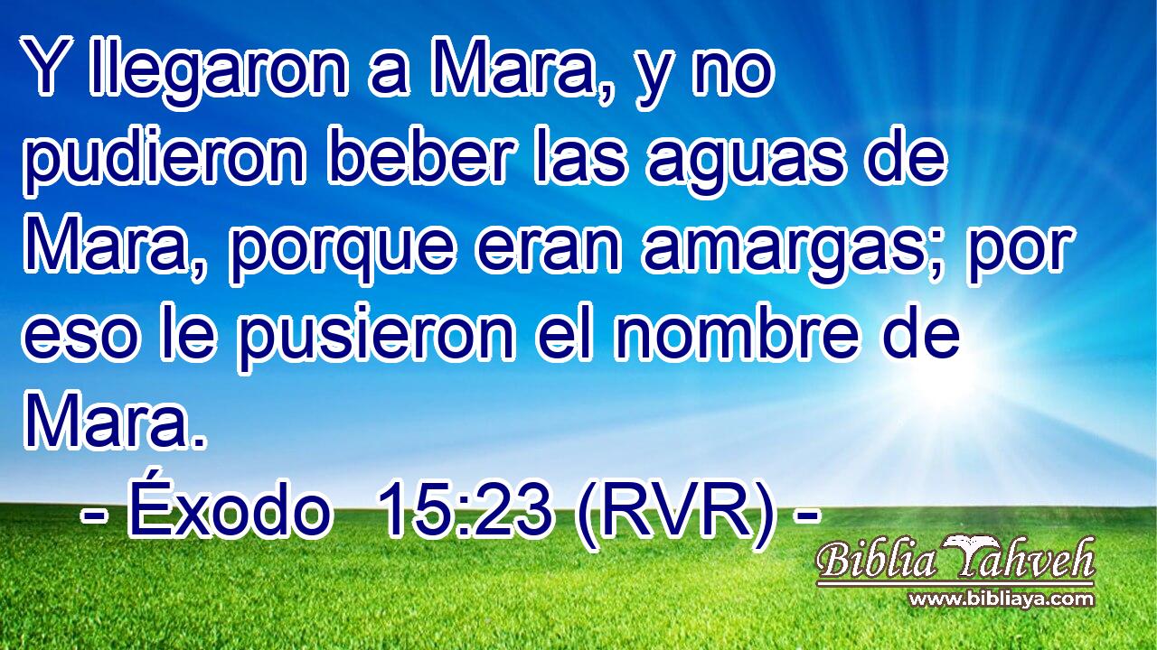 Y llegaron a Mara, y no pudieron beber las aguas de Mara, porque eran amargas; por eso le pusieron el nombre de Mara.