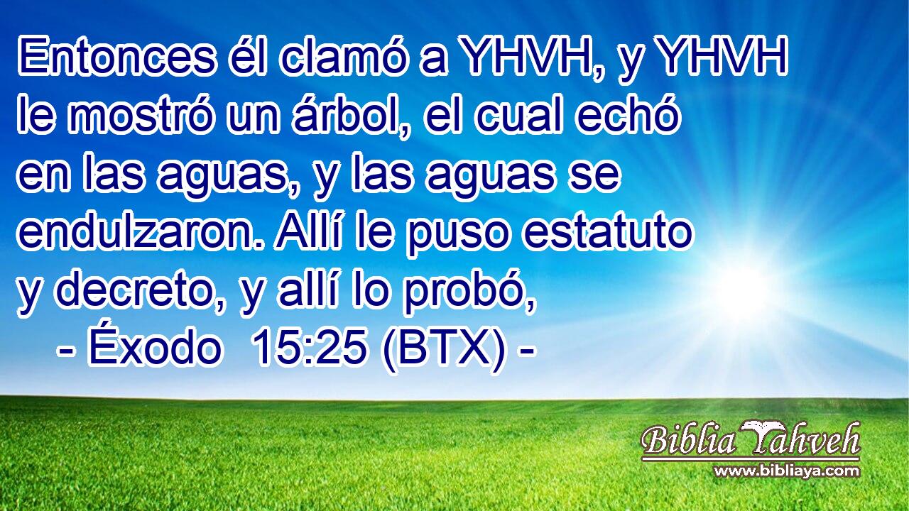 Entonces él clamó a YHVH, y YHVH le mostró un árbol, el cual echó en las aguas, y las aguas se endulzaron. Allí le puso estatuto y decreto, y allí lo probó,