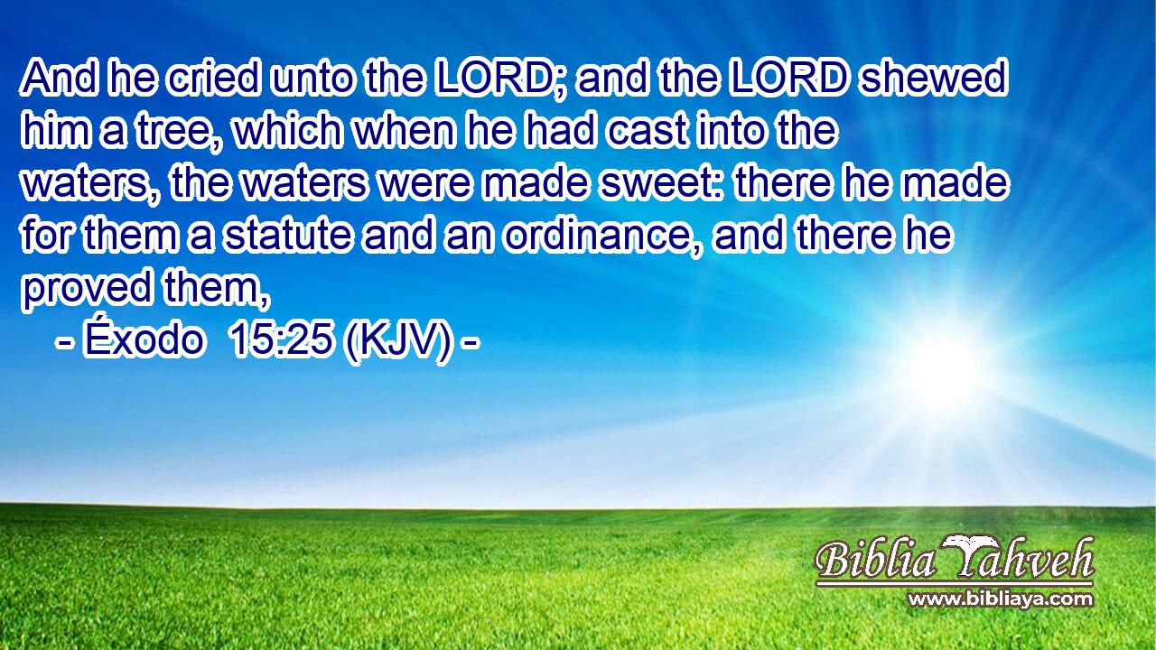 And he cried unto the LORD; and the LORD shewed him a tree, which when he had cast into the waters, the waters were made sweet: there he made for them a statute and an ordinance, and there he proved them,