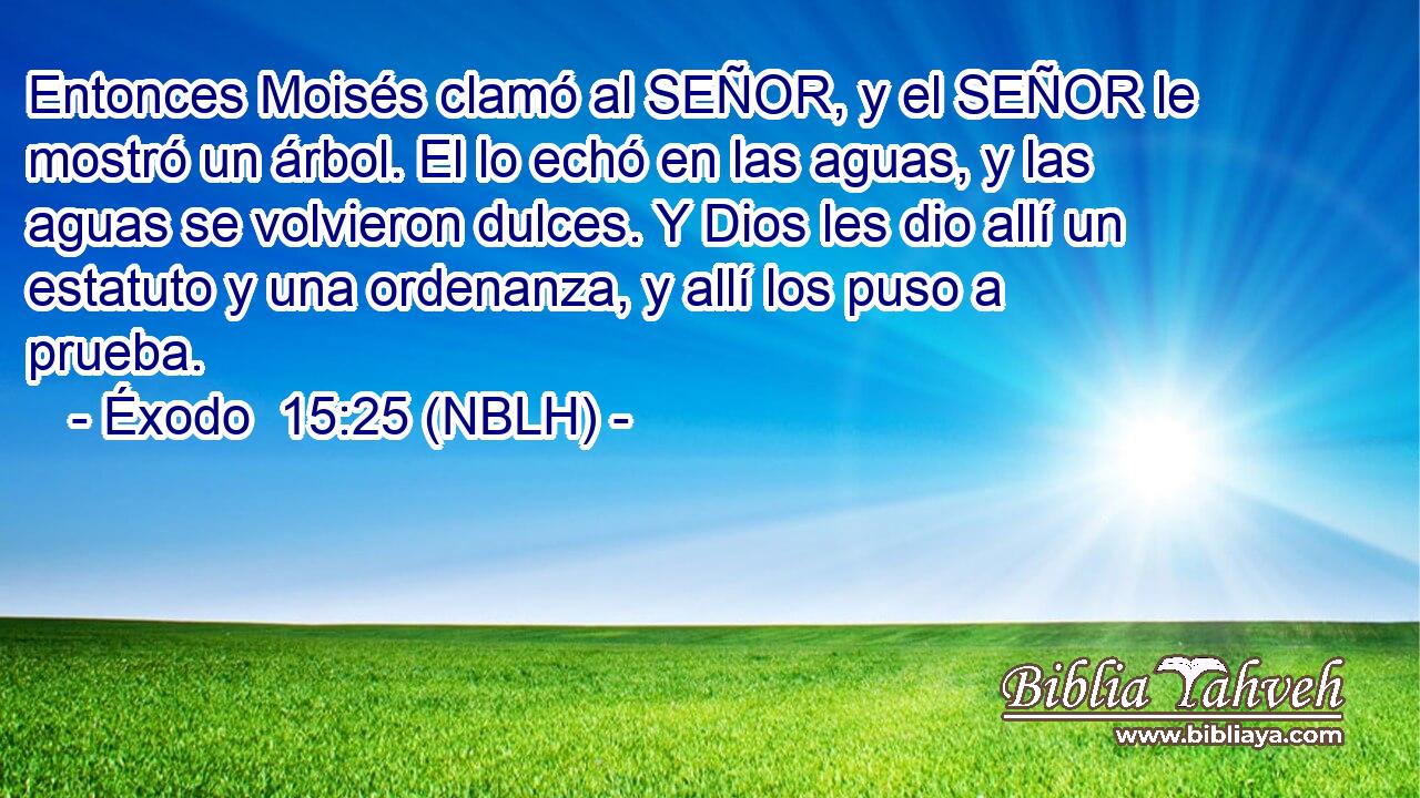  Entonces Moisés clamó al SEÑOR, y el SEÑOR le mostró un árbol. El lo echó en las aguas, y las aguas se volvieron dulces. Y Dios les dio allí un estatuto y una ordenanza, y allí los puso a prueba. 