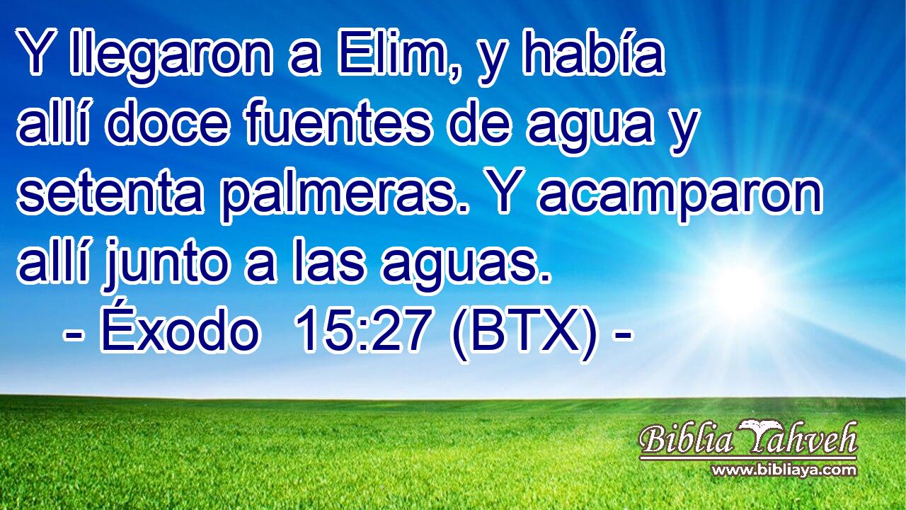 Y llegaron a Elim, y había allí doce fuentes de agua y setenta palmeras. Y acamparon allí junto a las aguas.